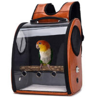 bird carrier with perch parrot travel cage