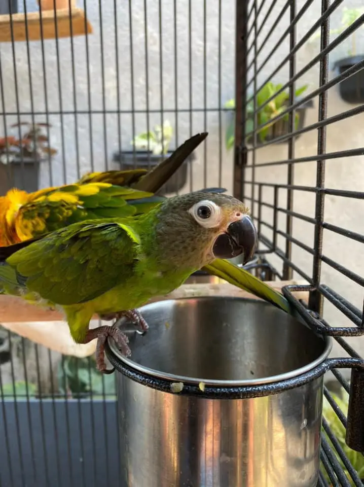 auto draft auto draft