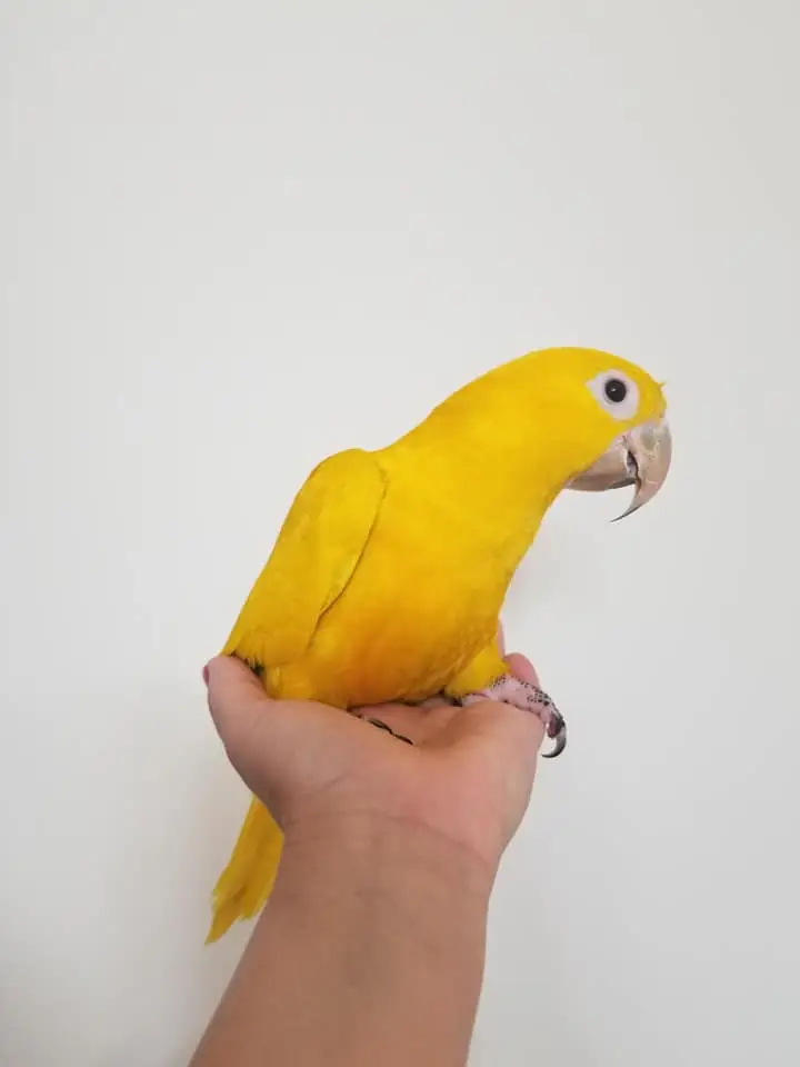 auto draft auto draft