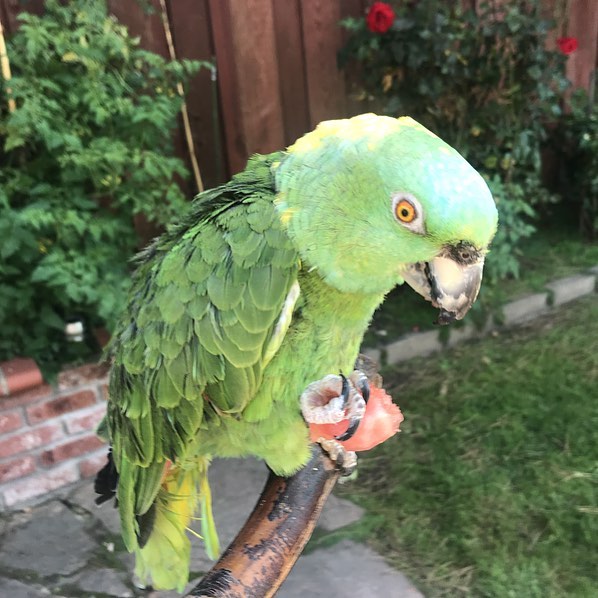 auto draft auto draft