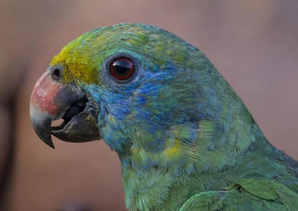 auto draft auto draft